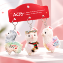 Get ACRO Swag with Your First Order
